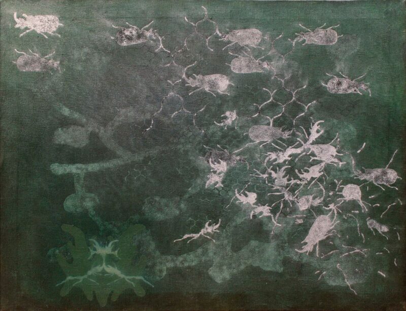 Paolo Pretolani, Scarabei 300, courtesy l'artista e marina bastianello gallery