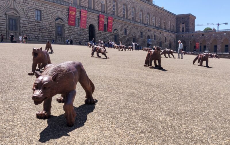 I lupi di Liu Ruowang a Piazza Pitti, a Firenze