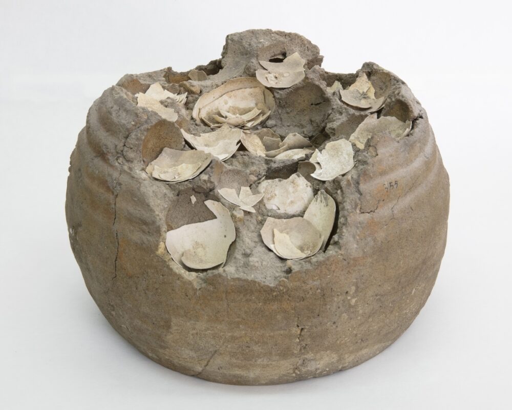 Contenitore con uova conservate nell’argilla. Parco Archeologico di Pompei. © Amedeo Benestante