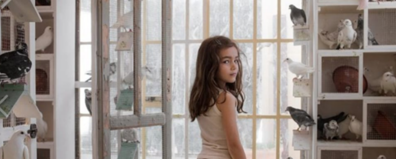 Un particolare della foto di SkyTg24 con la bambina in mutandine