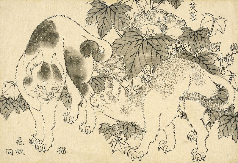 Il British Museum ha acquisito 103 disegni di Hokusai riemersi recentemente