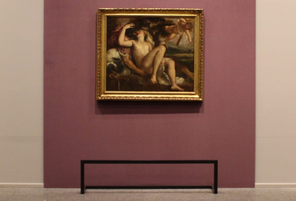L'allestimento all'Accademia Carrara del capolavoro di Tiziano, Marte Venere e Amore, del Kunsthistorisches Museum Vienna