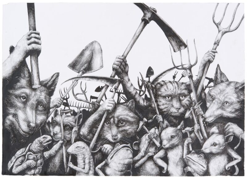 Ericailcane, Manifestazione 70x50cm