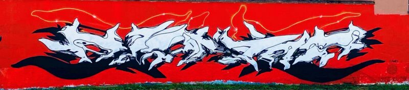 “CANO” 2020 Smalto sintetico e acrilico su muro 3mx 20m Location milano: milano