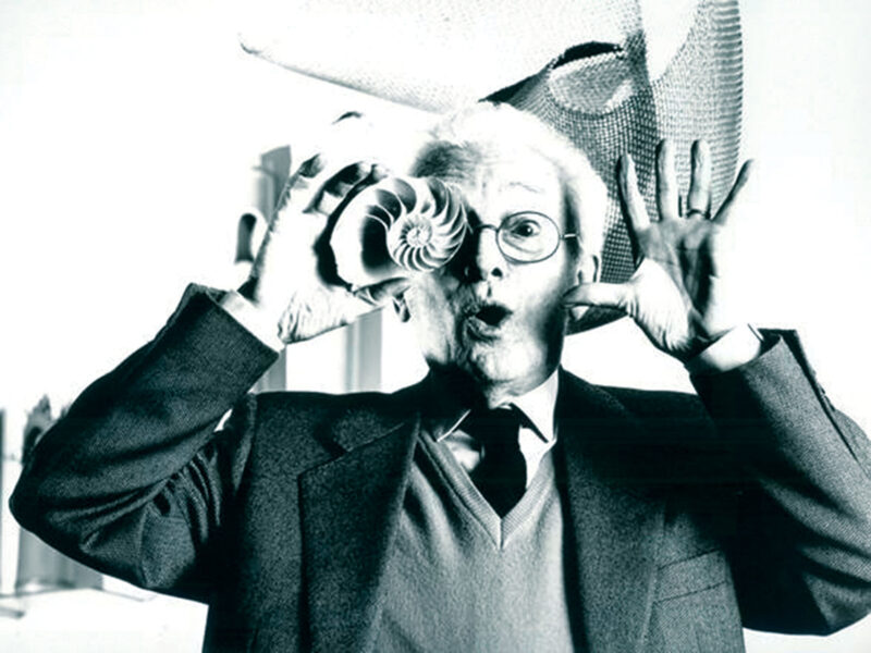 Munari