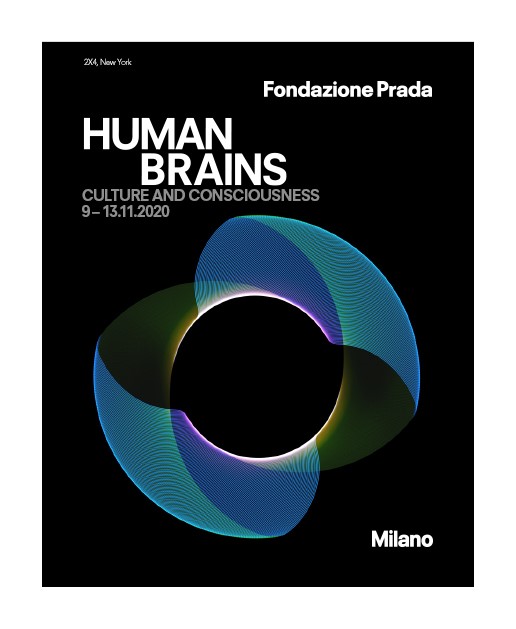 Human Brains