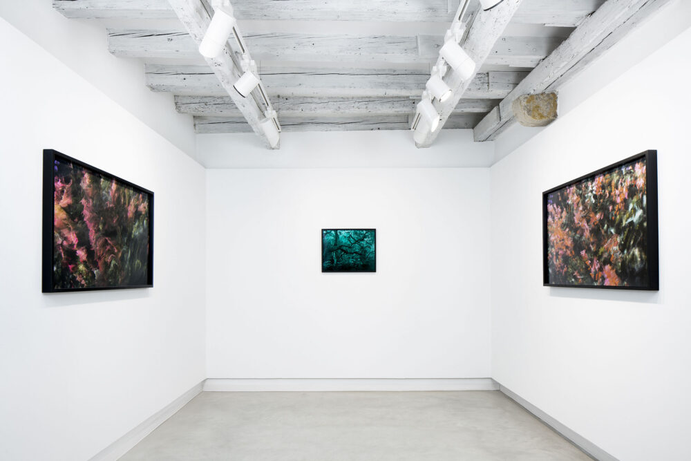 Oltrenatura, installation view, room2