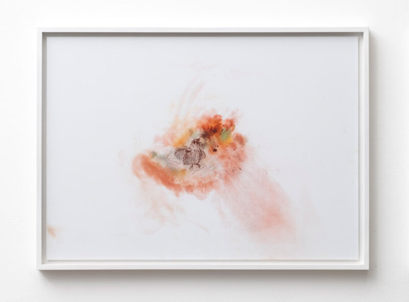 Corinna Gosmaro,Ab Joy, 2020, mixed media on paper, 50 x 70 cm, courtesy of the artist and The Gallery Apart Rome, photo by Giorgio Benni
