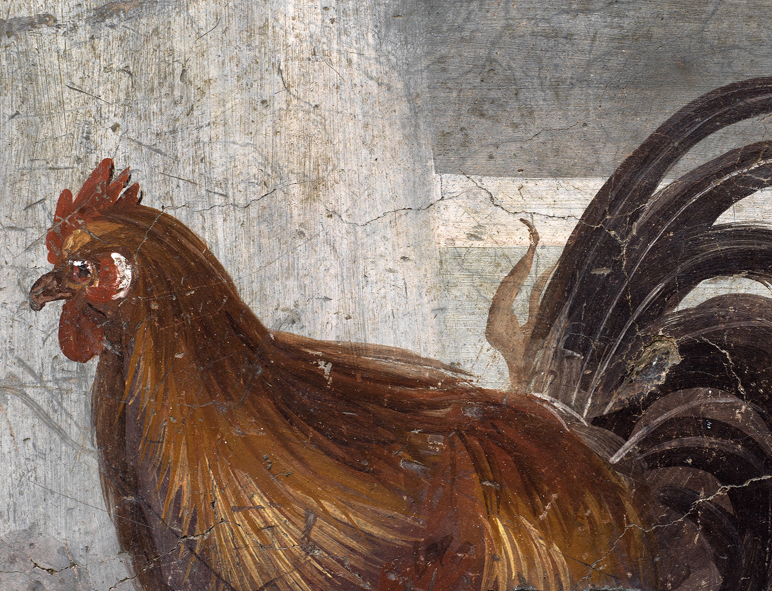 Galli, anatre, cani, nereidi. Da Pompei tutte le immagini dell’incredibile street food di 2000 anni fa