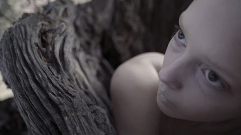 The Next Generation Short Film Festival