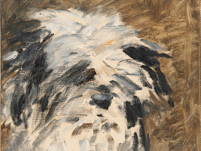 Minnay, il ritratto del cagnolino di Manet all’asta
