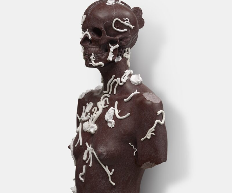 Damien Hirst, The Skull Beneath the Skin, 2014. Photographed by Prudence Cuming Associates ©Damien Hirst and Science Ltd. All rights reserved, DACS 2021