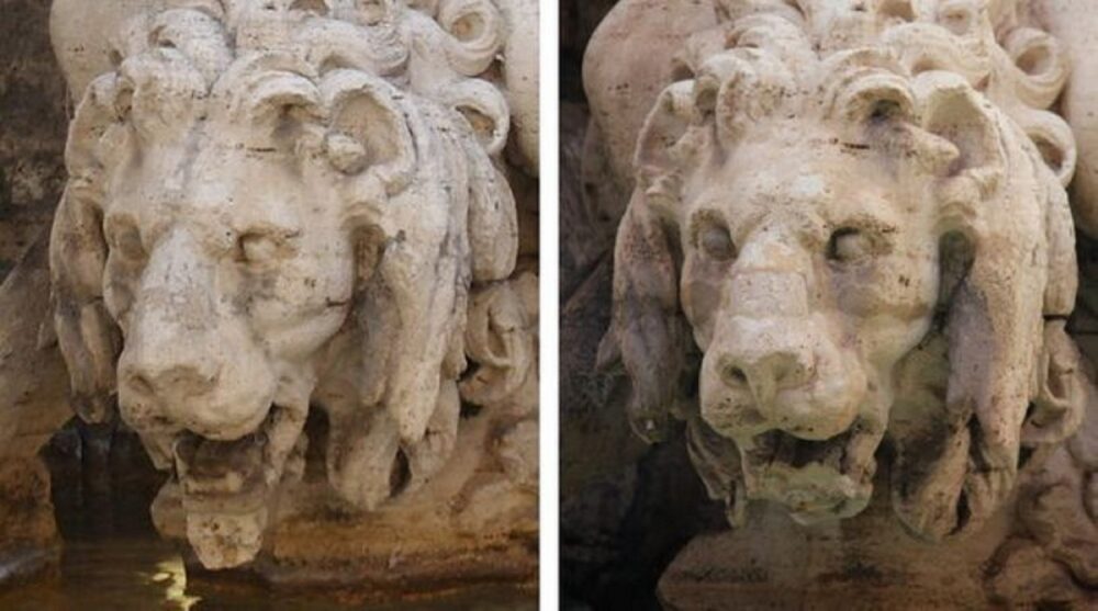 leone della Fontana dei Quattro Fiumi del Bernini