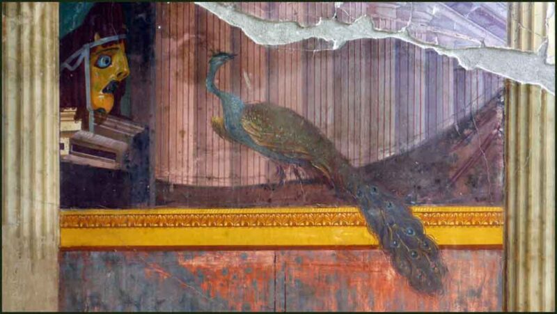 oplontis