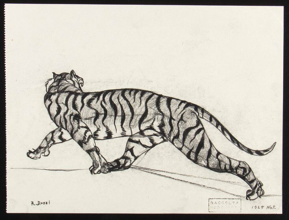 ROMANO DAZZI, Studio di tigre, 1925 Carboncino su carta PROVENIENZA: Collezione Ugo Ojetti. Lotto 238 dell’Asta 88 Bertolami Fine Art – Roma, 26 febbraio 2021