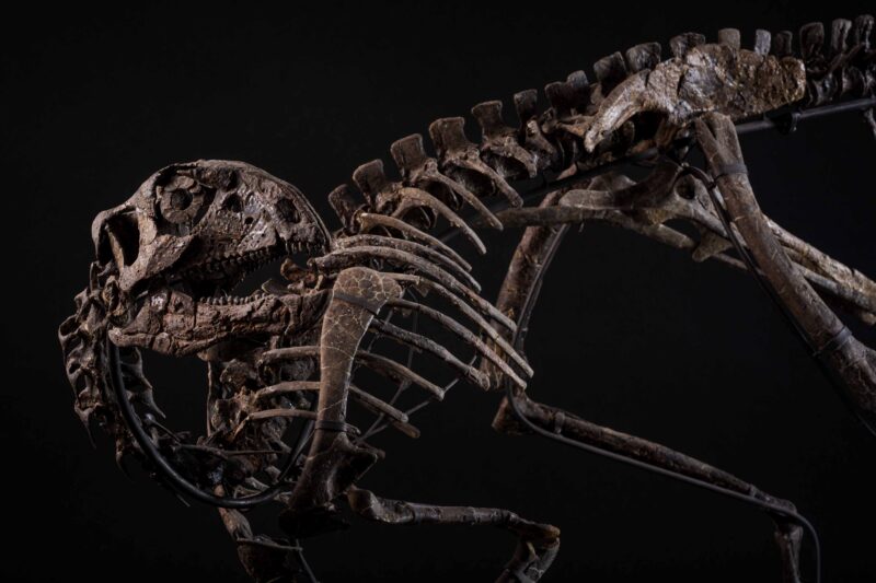 Othnielosaurus