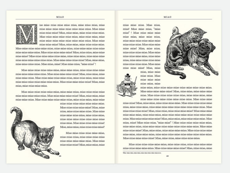 BOLO Paper – Courtesy BOLO Paper