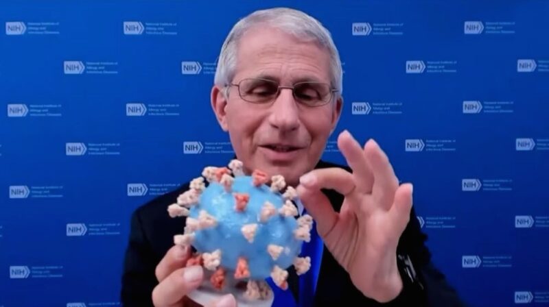 Anthony Fauci con il modello 3D del Covid donato al museo
