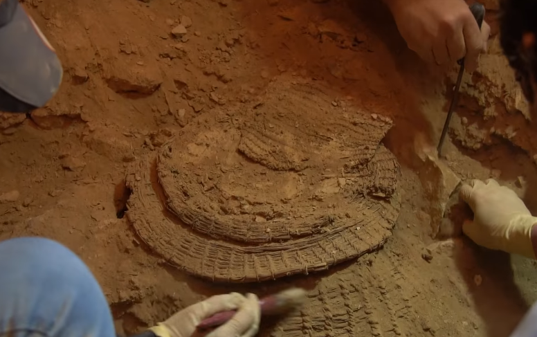 Cestino scoperto in una grotta nel deserto della Giudea vicino a frammenti biblici
