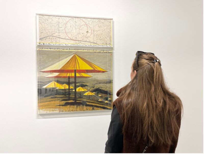 Umbrellas - 1990 Tecnica mista in teca di plexiglass Mixed media in plexiglass box 67 x 78 + 31 x 78 cm Courtesy Collezione M.P. Ghisla