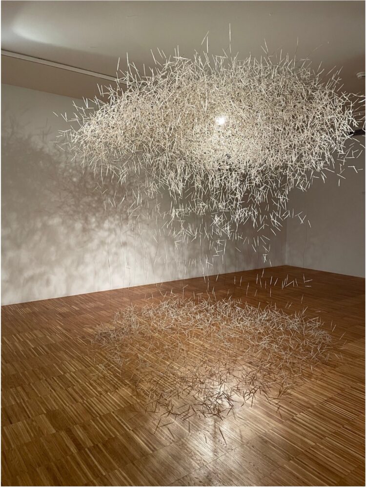 Carole Solvay, La Pluie -2009 Piume e filo metallico 210 x 250 x 190 cm 