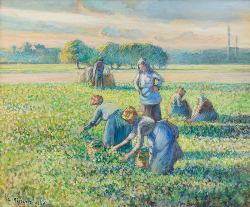  Camille Pissarro, La Récolte des pois. Estimate: 1,200,000 - 1,800,000 EUR