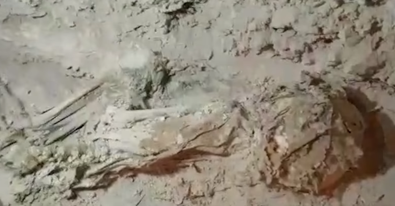 scheletro bambina ritrovato nella Grotta degli Orrori insieme a frammenti biblici 
