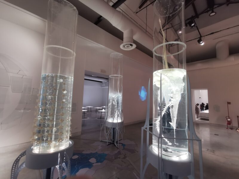 How will we live together?, Biennale Architettura di Venezia, Padiglione Centrale dei Giardini