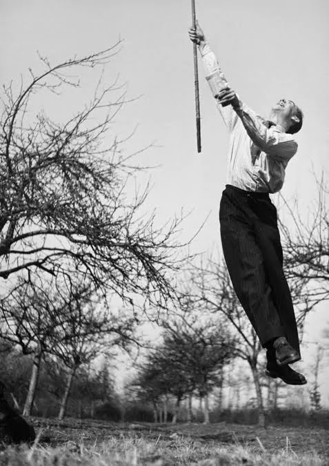 Haguet, cugino di Lartigue, Foresta di Rambouillet, 1938