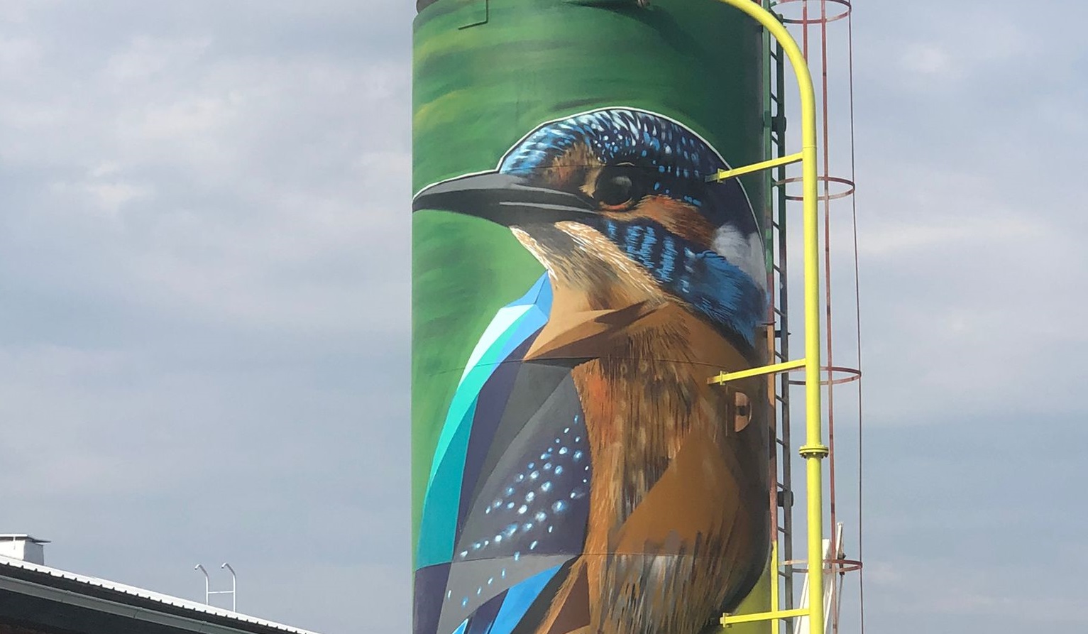 Il Lawyer Urban Artist Frode vola in Finlandia sulle ali del Kingfisher