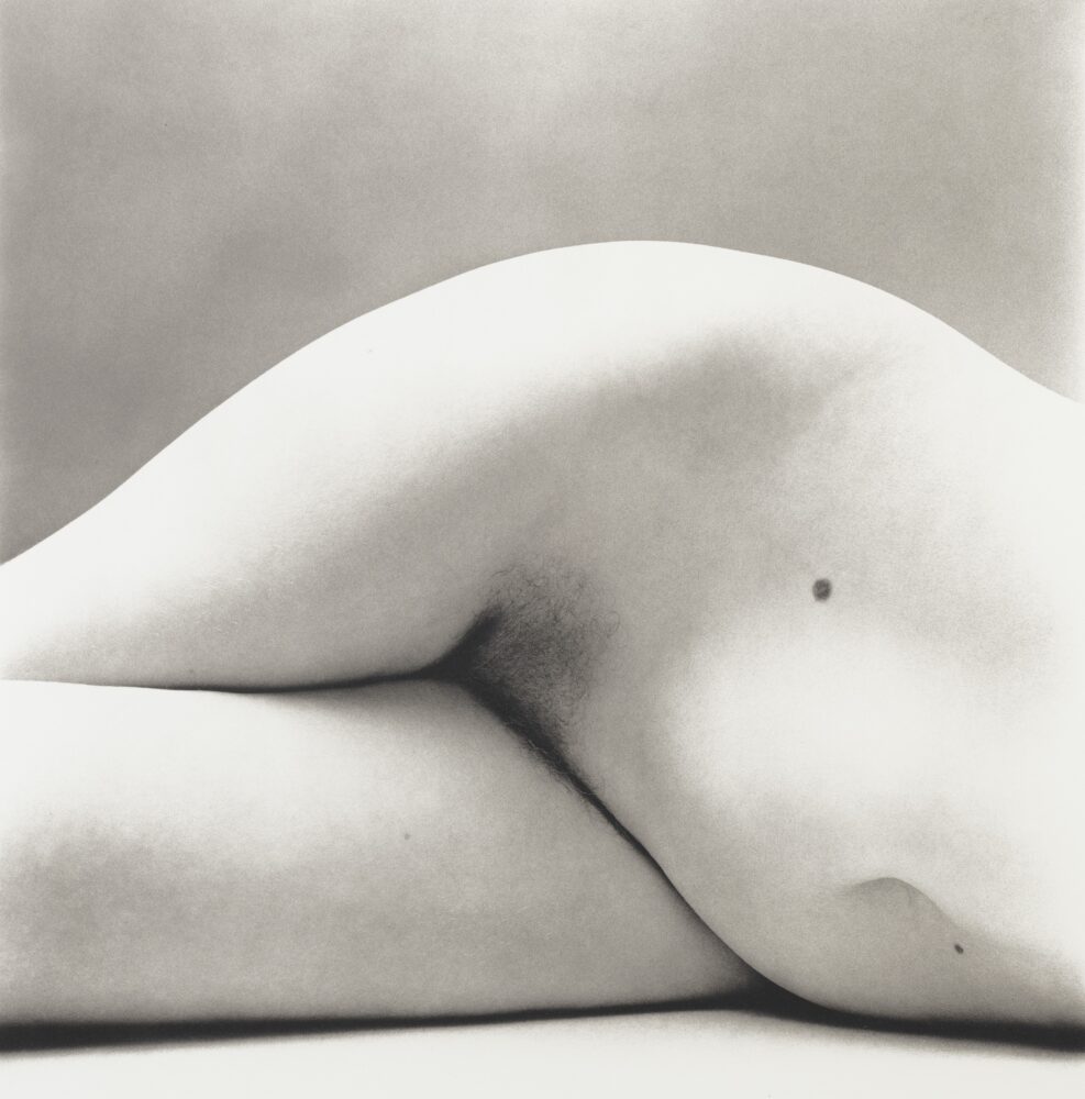 Irving Penn, Nude No. 147, 1950, 20,000 - 30,000 EUR_©The Irving Penn Foundation