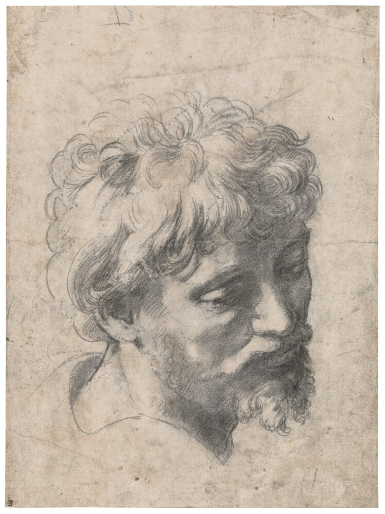 Raphael, Study for the Head of an Apostle in the Transfiguration © Private Collection