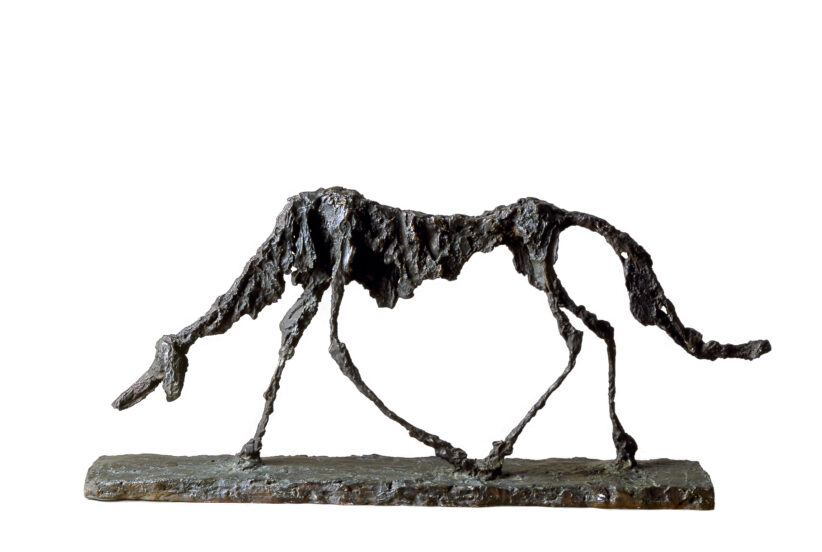 Alberto Giacometti, Le Chien, 1951. Archives Fondation Maeght ©-Succession Giacometti, Fondation Giacometti Paris et ADAGP Paris, 2021