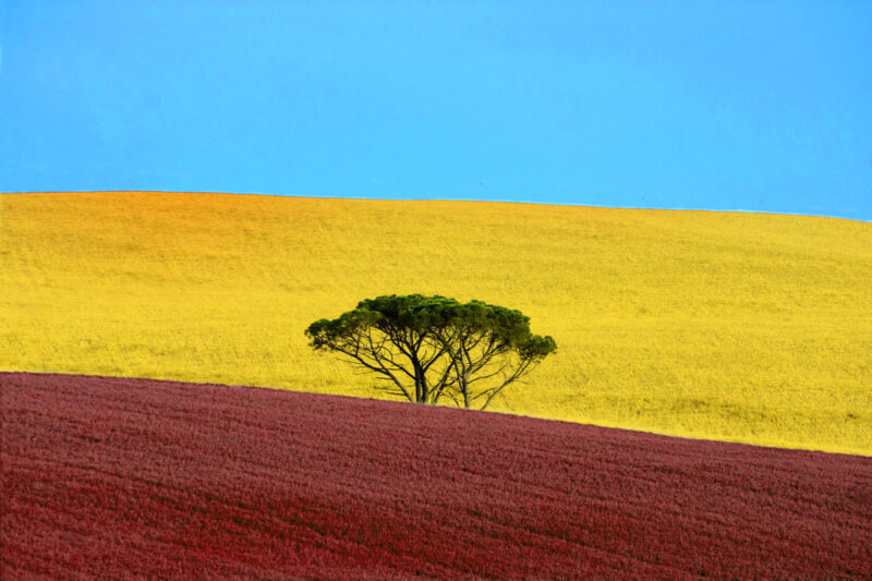 Franco Fontana, Tricolore