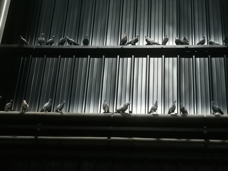 Maurizio Cattelan, Breath Ghosts Blind, Hangar Bicocca, Milano