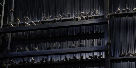 Maurizio-Cattelan, Ghosts, 2021, piccioni in tassidermia. Installation view at Pirelli HangarBicocca, Milano, 2021. Courtesy l'artista. Pirelli HangarBicocca, Milano. Photo Agostino Osio