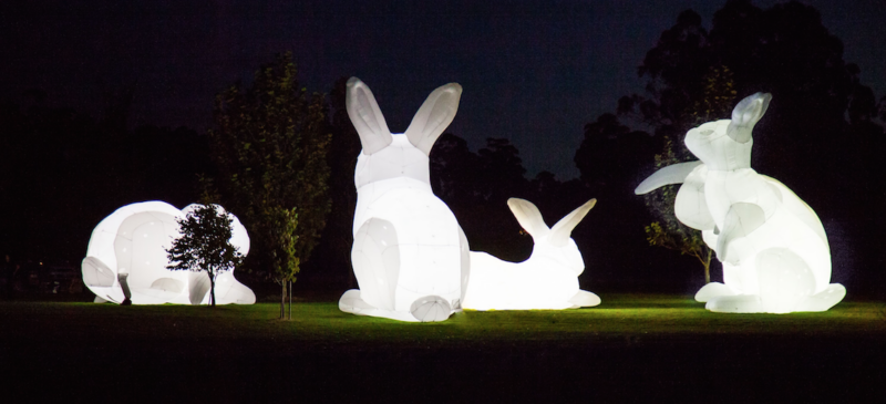 Re-Creatures, Intrude Classix-Tas Australia © Parer Studio