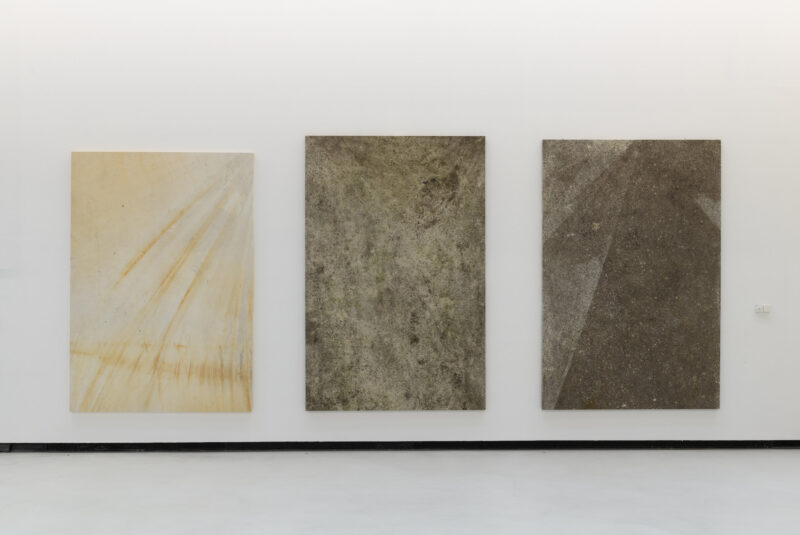 Luca Vitone, Io, Villa Adriana, MAXXI, Roma (ph. Giorgio Benni)