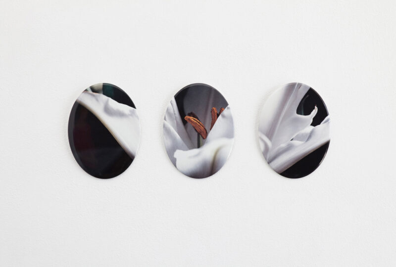 Julia Krahn EPITAPH, 2012 18 cm x 24 cm (x3) photo ceramica - Chromalin Dupont copyright all rights reserved @ the arstist JK Collezione Marco Gaiani