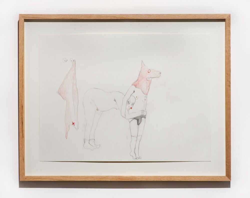 Jesse Darling, Pantomime Horse, 2021, pencil on paper, 35,9 x 48 cm