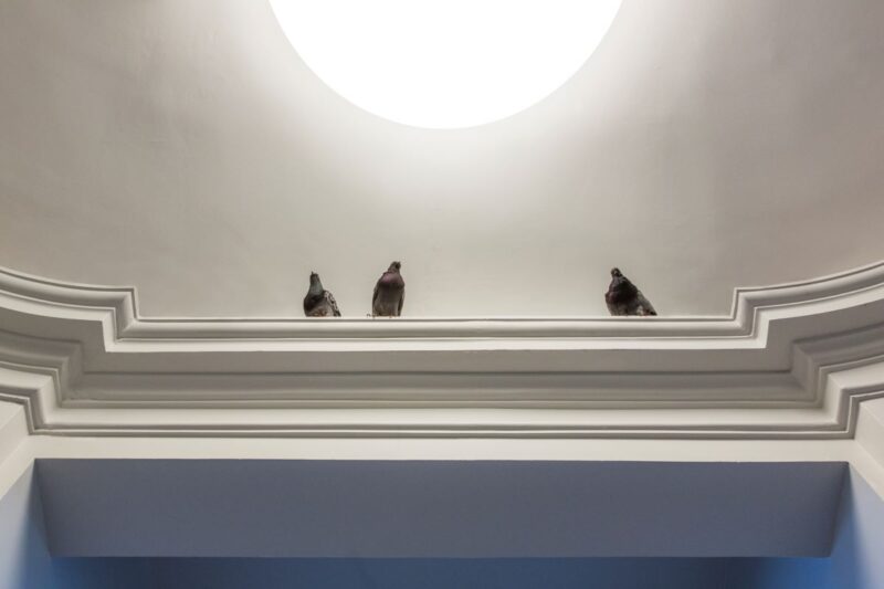 Maurizio Cattelan, Others, 2010, Photo by Zeno Zotti Courtesy Maurizio Cattelan Archive