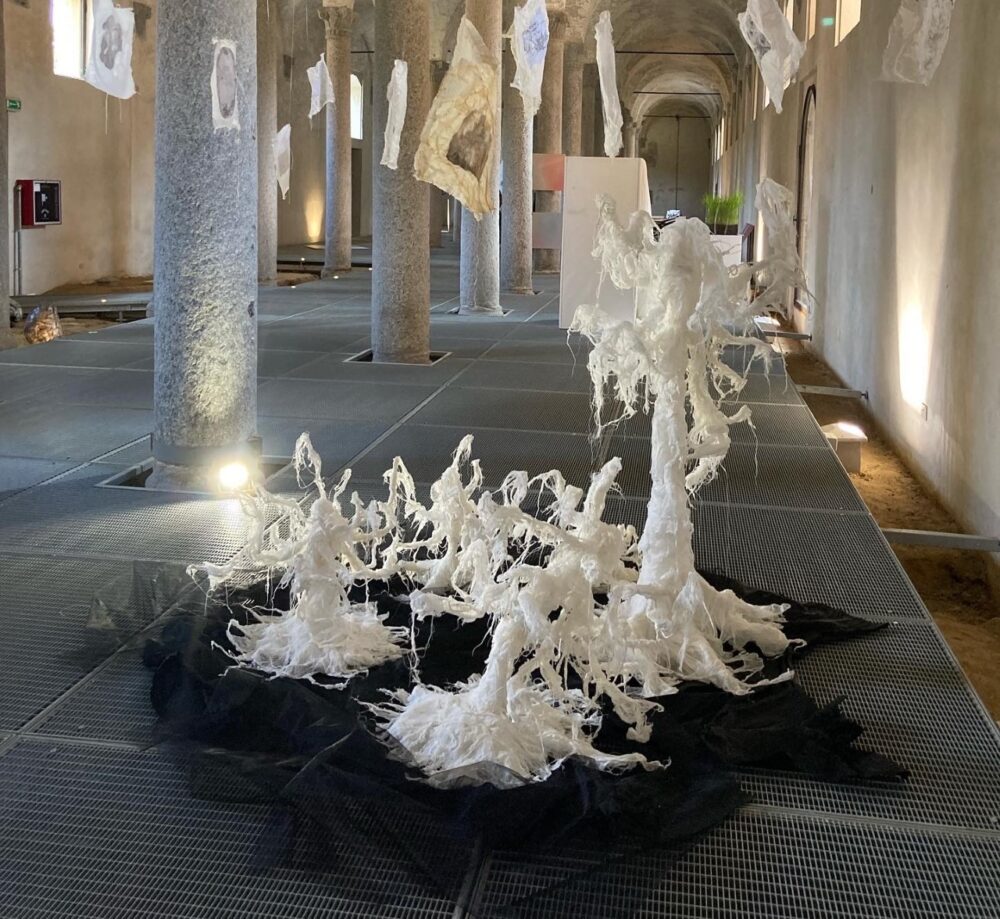 Dora Ayala, "L'anima degli alberi - 2021 - Installazione