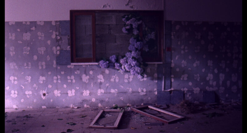  Un’immagine da Flores di Jorge Jacome. Il corto fa parte della selezione di documentari dei Formafantasma per la sezione Bloom.