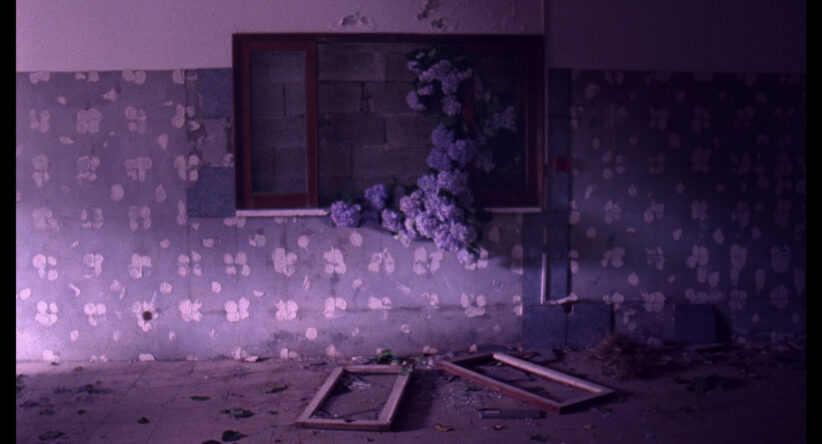 Un’immagine da Flores di Jorge Jacome. Il corto fa parte della selezione di documentari dei Formafantasma per la sezione Bloom.