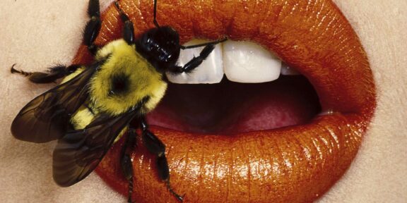 Irving Penn, Bee (A), New York, 1995, © The Irving Penn Foundation