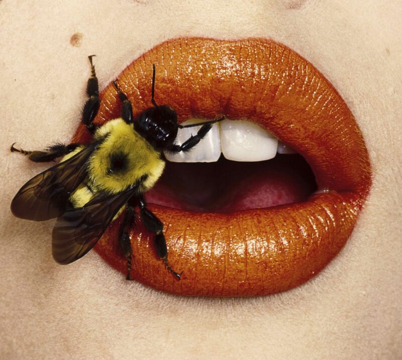 Irving Penn, Bee (A), New York, 1995, © The Irving Penn Foundation