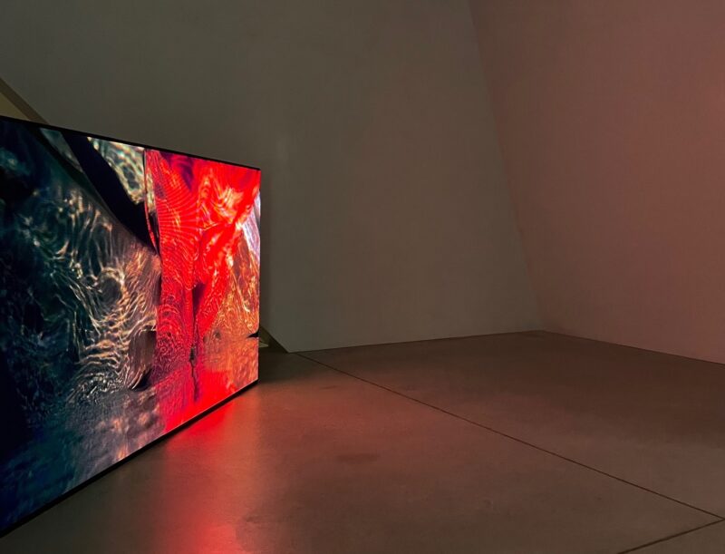 L'homme sans image, Enrique Ramirez