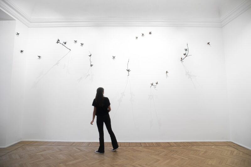 mostra Sabrina Mezzaqui