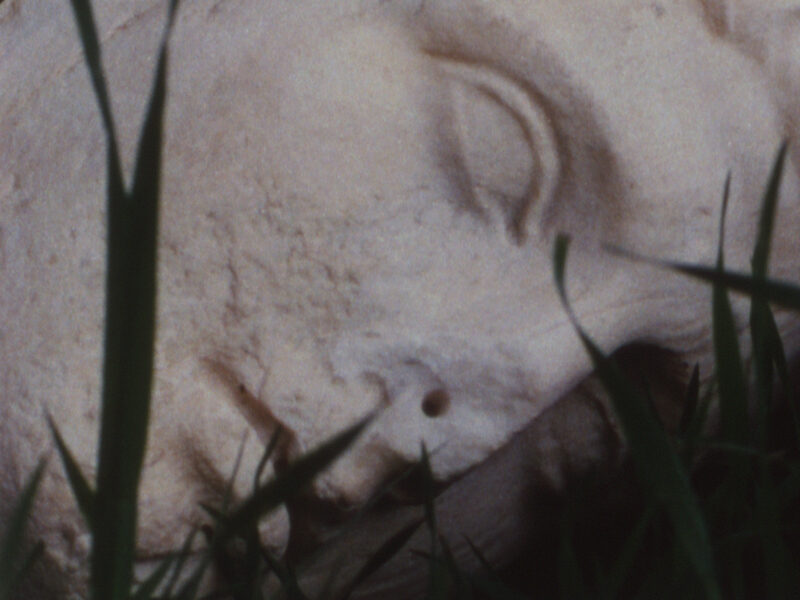 Tacita Dean, Pan Amicus, 2021, film still 16mm colour film, optical sound, 31 minutes, continuous loop Courtesy of the artist, Frith Street Gallery, London, and Marian Goodman Gallery, New York/Paris