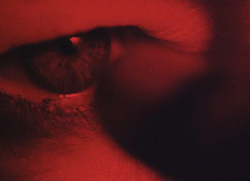 Anicka Yi, Steve McQueen, Bruce Nauman, Dineo Seshee Bopape,